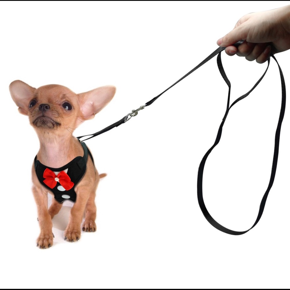 NWT elegant bow dog harness vest with leashes